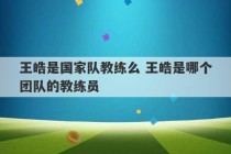 王皓是国家队教练么 王皓是哪个团队的教练员