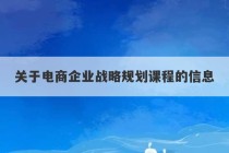 关于电商企业战略规划课程的信息