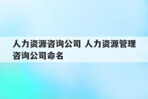 人力资源咨询公司 人力资源管理咨询公司命名