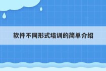 软件不同形式培训的简单介绍