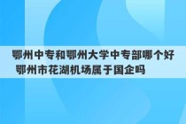 鄂州中专和鄂州大学中专部哪个好 鄂州市花湖机场属于国企吗