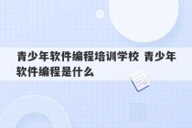 青少年软件编程培训学校 青少年软件编程是什么