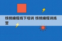 核桃编程线下培训 核桃编程训练营