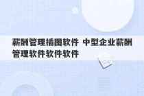 薪酬管理插图软件 中型企业薪酬管理软件软件软件