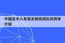 中国选手八角笼无教练团队的简单介绍