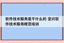 软件技术服务是干什么的 宜兴软件技术服务规范培训