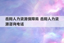 岳阳人力资源保障局 岳阳人力资源咨询电话