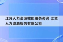 江苏人力资源效能服务咨询 江苏人力资源服务有限公司