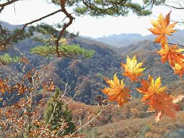 山西焦煤发展规划 山西焦煤管理战略