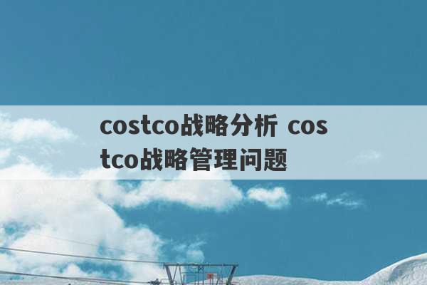 costco战略分析 costco战略管理问题