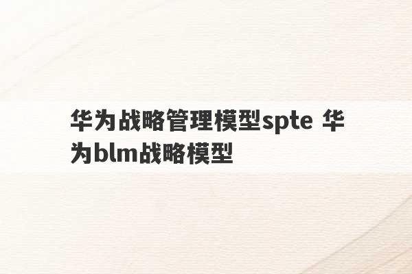 华为战略管理模型spte 华为blm战略模型