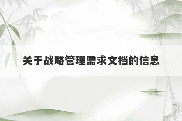 关于战略管理需求文档的信息