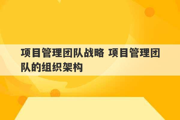 项目管理团队战略 项目管理团队的组织架构