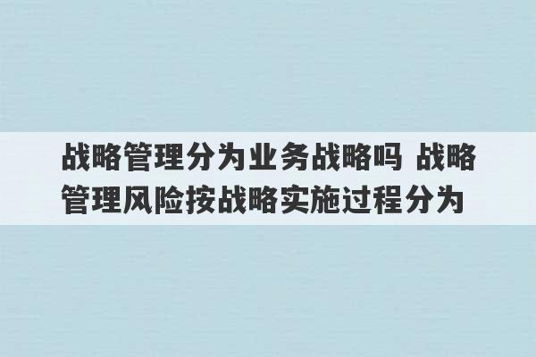 战略管理分为业务战略吗 战略管理风险按战略实施过程分为