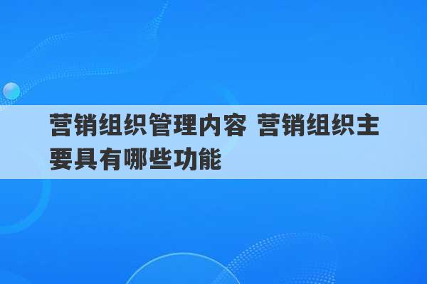 营销组织管理内容 营销组织主要具有哪些功能