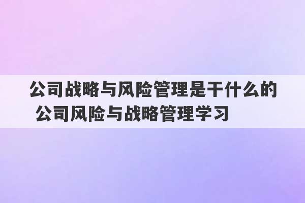 公司战略与风险管理是干什么的 公司风险与战略管理学习