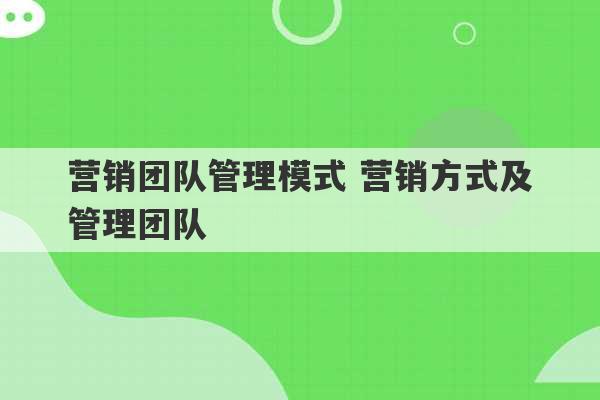 营销团队管理模式 营销方式及管理团队