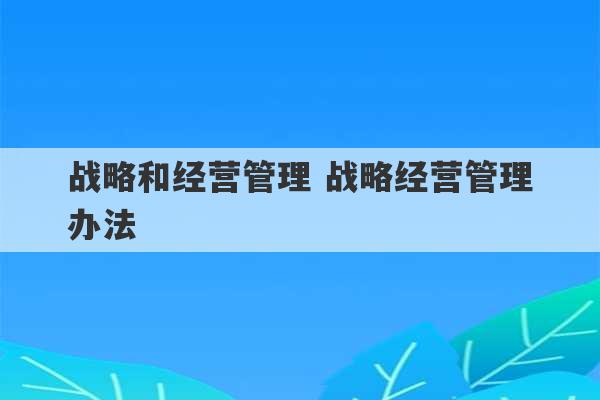 战略和经营管理 战略经营管理办法