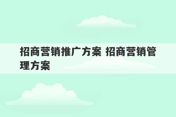 招商营销推广方案 招商营销管理方案