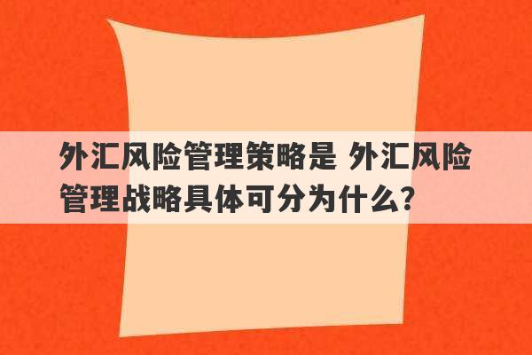 外汇风险管理策略是 外汇风险管理战略具体可分为什么？