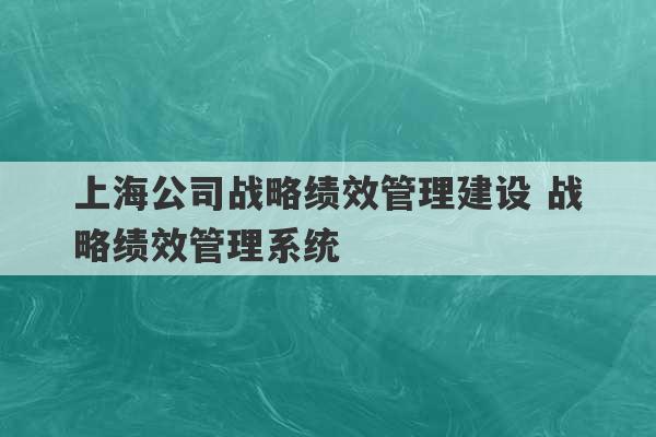 上海公司战略绩效管理建设 战略绩效管理系统