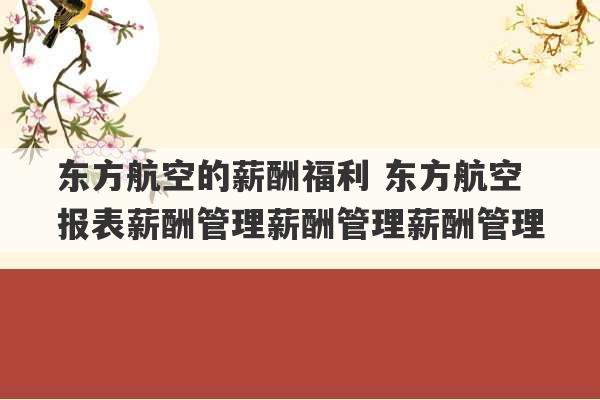 东方航空的薪酬福利 东方航空报表薪酬管理薪酬管理薪酬管理