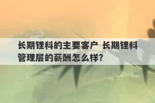 长期锂科的主要客户 长期锂科管理层的薪酬怎么样？