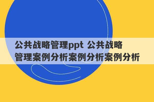 公共战略管理ppt 公共战略管理案例分析案例分析案例分析