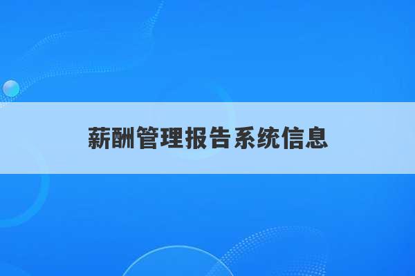 薪酬管理报告系统信息