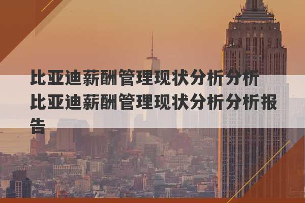 比亚迪薪酬管理现状分析分析 比亚迪薪酬管理现状分析分析报告