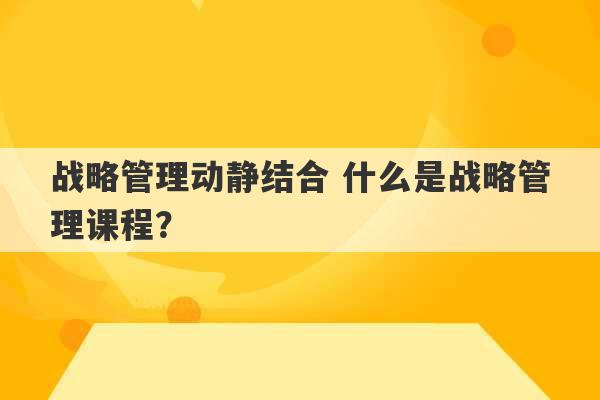 战略管理动静结合 什么是战略管理课程？