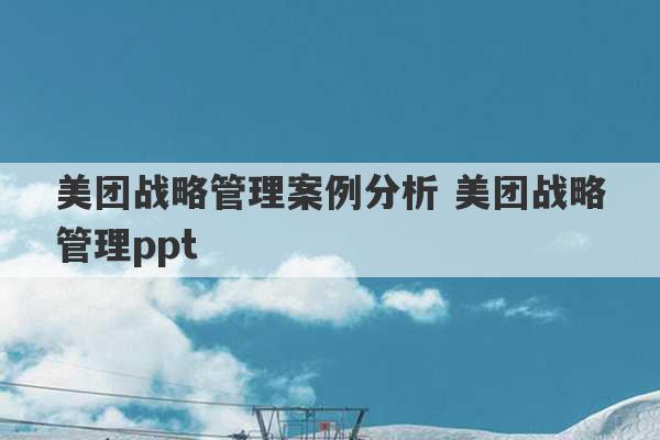 美团战略管理案例分析 美团战略管理ppt