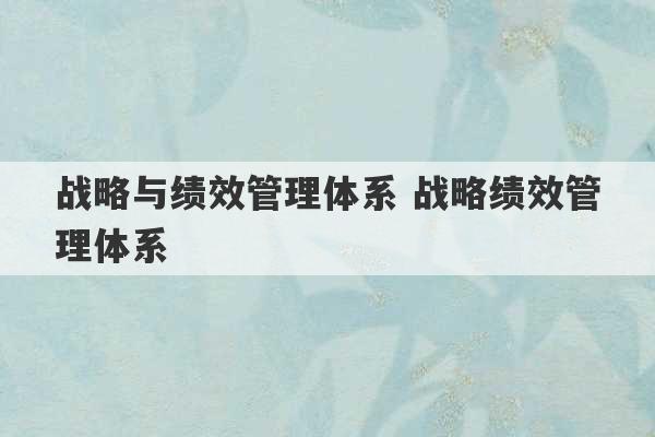 战略与绩效管理体系 战略绩效管理体系