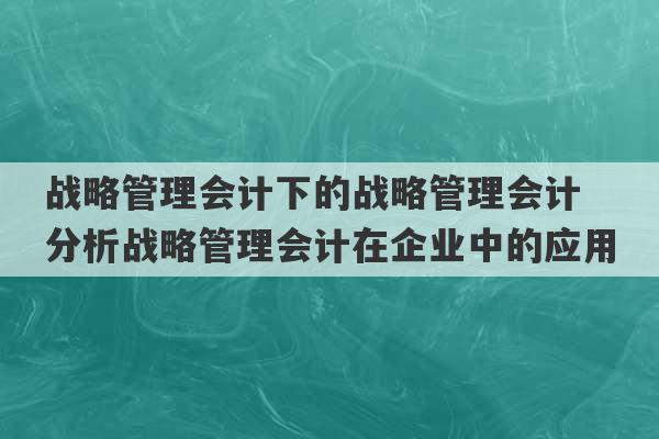 战略管理会计下的战略管理会计 分析战略管理会计在企业中的应用