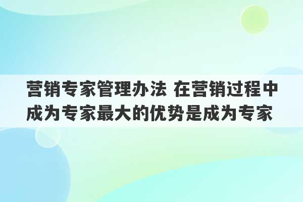 营销专家管理办法 在营销过程中成为专家最大的优势是成为专家