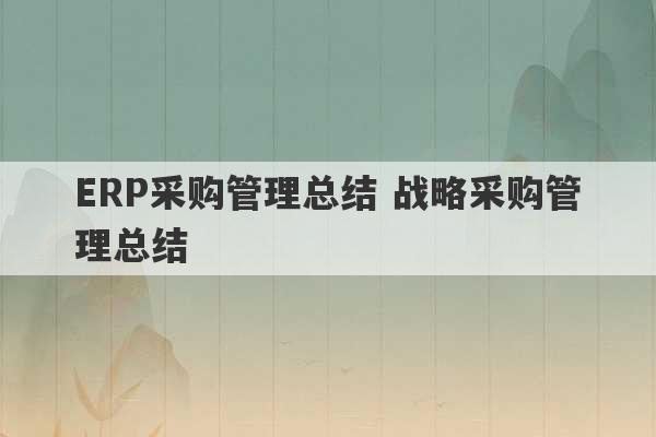 ERP采购管理总结 战略采购管理总结