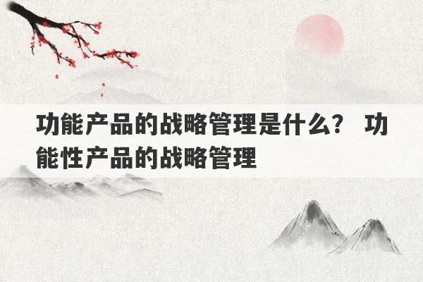 功能产品的战略管理是什么？ 功能性产品的战略管理