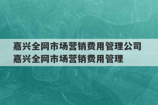 嘉兴全网市场营销费用管理公司 嘉兴全网市场营销费用管理