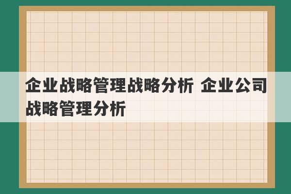 企业战略管理战略分析 企业公司战略管理分析