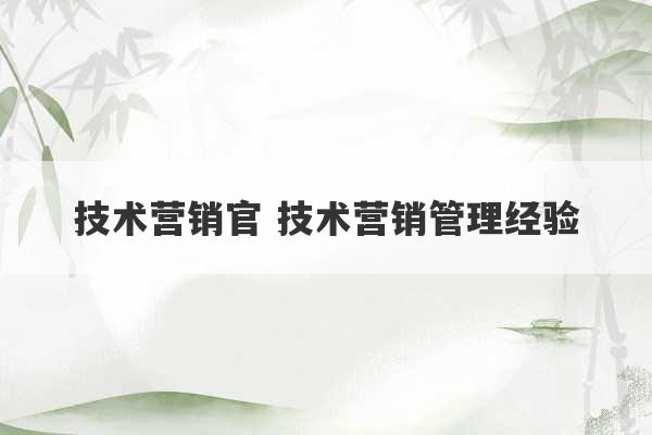 技术营销官 技术营销管理经验