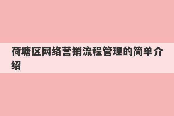 荷塘区网络营销流程管理的简单介绍