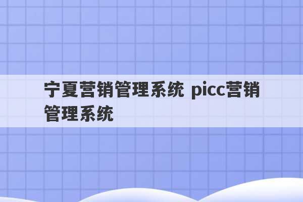 宁夏营销管理系统 picc营销管理系统