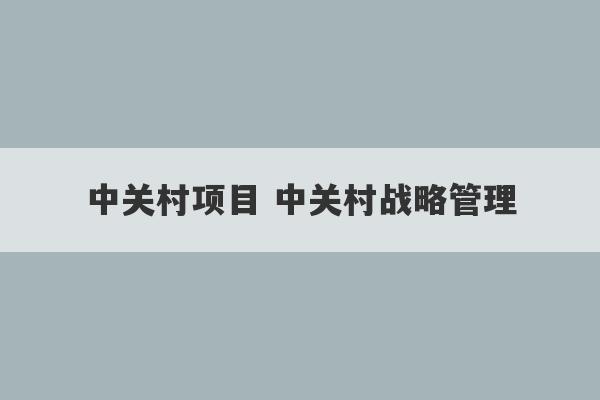 中关村项目 中关村战略管理