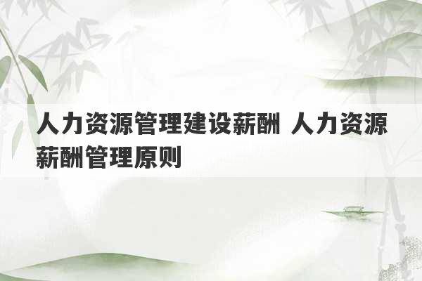 人力资源管理建设薪酬 人力资源薪酬管理原则