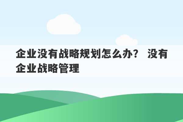 企业没有战略规划怎么办？ 没有企业战略管理