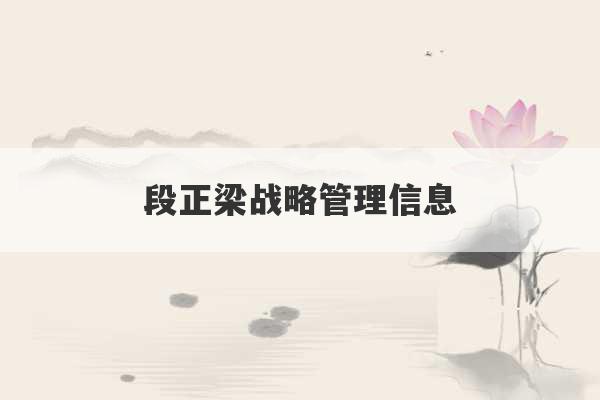 段正梁战略管理信息