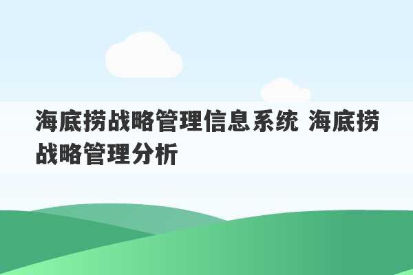 海底捞战略管理信息系统 海底捞战略管理分析