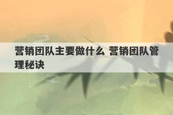 营销团队主要做什么 营销团队管理秘诀