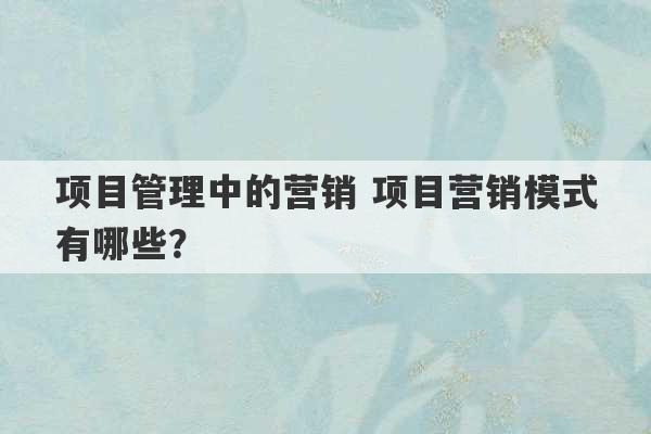 项目管理中的营销 项目营销模式有哪些？