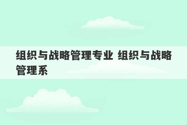 组织与战略管理专业 组织与战略管理系